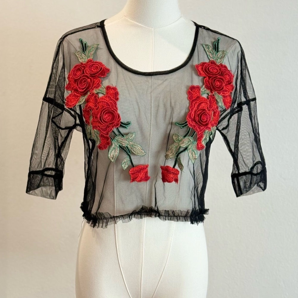 Potter’s Pot Sheer Mesh Embroidered Rose Crop Top Black Festival Y2K Boho